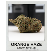 Orange Haze