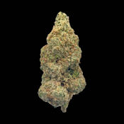 Orange Julius - Flower - Fire Bros - 3.5g