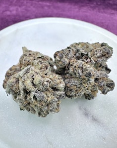 Quality High - Solo Pre-Roll - Orange Madness