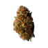 Product Preview Image 2