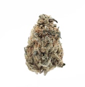 TVC | Orange Sunset | Bulk Flower