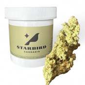 Orange Tart - 14g - Blue Collar Botany