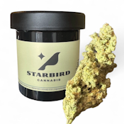 Orange Tart - 28g - Blue Collar Botany