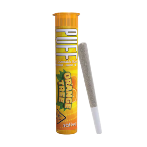 PUFF - Orange Tree (H) | 1g Pre Roll | Puff