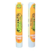 Greenline | Orange Tree | Single