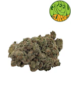 Orange Tree