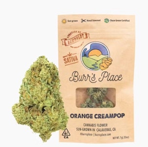 BURR'S PLACE - Burr's Place Orange Creampop 1/4 PD 27%
