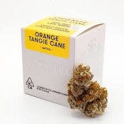 Orange Tangie Cane