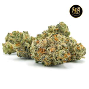 MAVEN GENETICS - Orange Bellini - 3.5g (S) - Maven