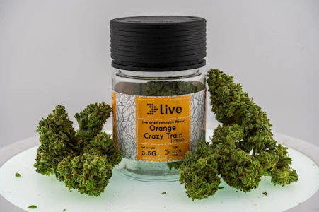 Live - LIVE -Orange Crazy Train - 3.5G