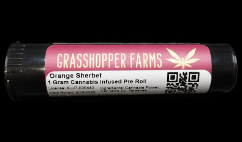 Orange Sherbet (Infused Pre Roll)