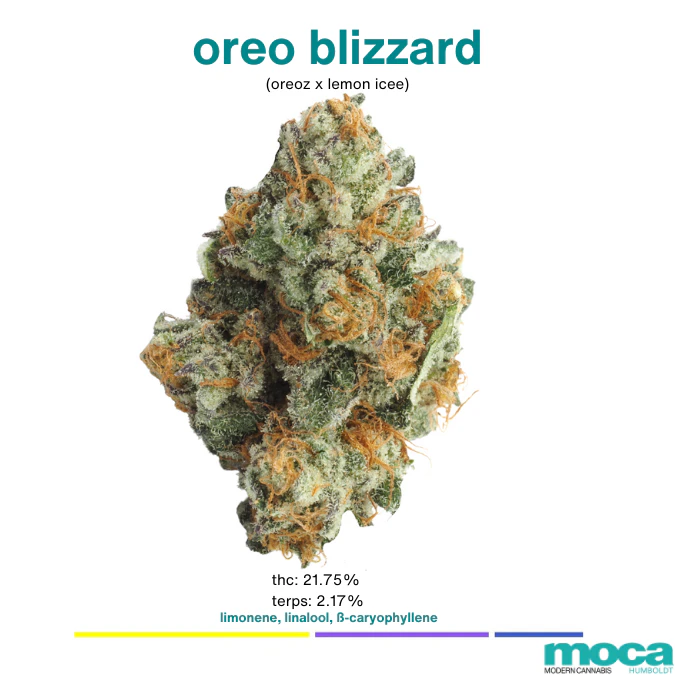 MOCA Flowers - MOCA Flowers - Smalls 1/4 Bag - Oreoz Blizzard Main Image