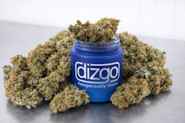 Eighth Ounce Jar Dried Flower-IX | Dizgo Collective | Orion | 3.5g
