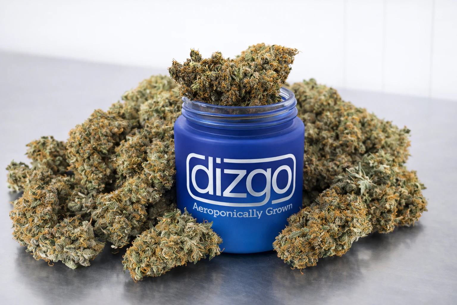 Dizgo Collective - Eighth Ounce Jar Dried Flower-IX | Dizgo Collective | TriCross | 3.5g Main Image