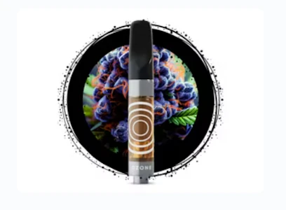 Ozone - [REC] Ozone | Blackberry Kush | 1g Distillate Cart