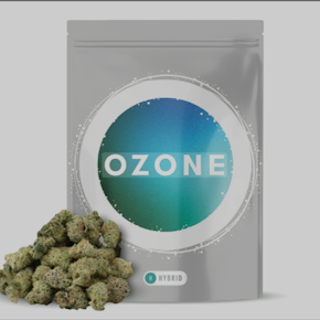 Ozone | Modified Bananas | Pc | 7g
