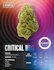 Product Preview Image 2