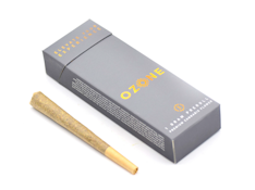 Banana Daddy Preroll - 1g