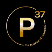 P37 - Live Hash Rosin - Dulce de Limon - 1G