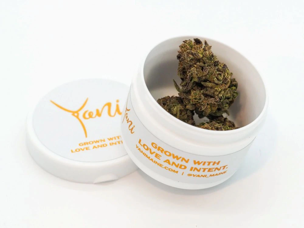 Izi -  Yani | Street Tarts | 3.5g Main Image