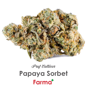 PRUF CULTIVAR - Pruf Cultivar Papaya Sorbet