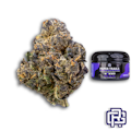 Paper Trails Flower | Quarter Special