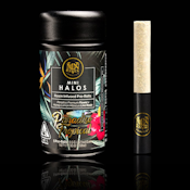 MAVEN | PARADISO TROPICAL - 5PK INFUSED | PREROLL | 3G