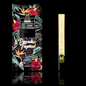 Infused Preroll - Paradiso Tropical (Halos) - Solventless -1.9g (H) - Maven