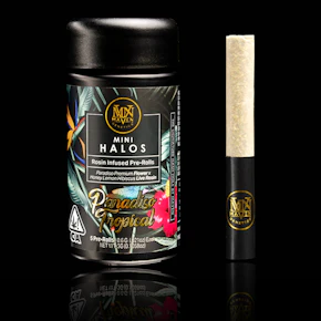 Maven | Infused Pre-Roll | Mini Halos | Paradiso Tropical | 3g | 5pack