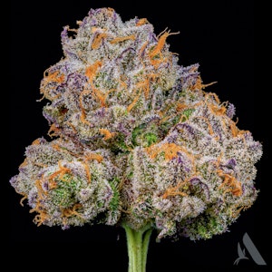 AFFINITY - PB Breath Flower T20.82% H 00341