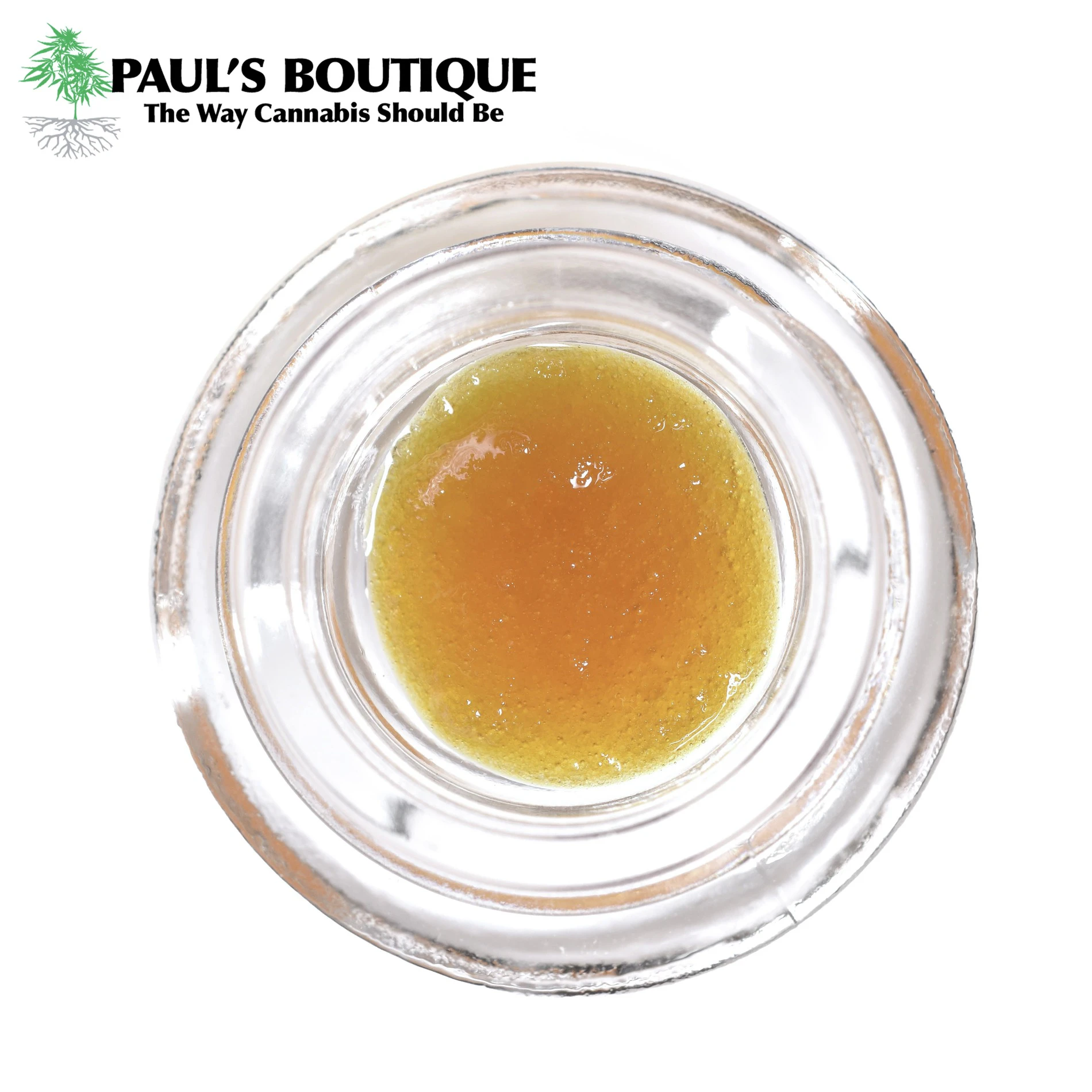 Paul's Boutique - Grapeology Cured Resin 1g Main Image