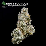 Garlic Cookies (GMO) 1/8
