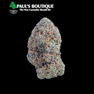 PAUL'S BOUTIQUE - Paul's Boutique | Rainbow Sherbert | 3.5G