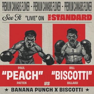 STANDARD WELLNESS - STANDARD WELLNESS - PEACH BISCOTTI 3.5 GRAMS