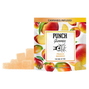 PUNCH - Peach Mango Full Spectrum Fruit Snacks 100mg