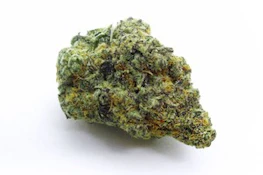 GF | Peanut Butter Breath