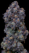 Rainbow Runtz 10 Pack Great Day Prerolls