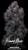 Permanent Marker 3.5 Gram Jar By Alt Sol