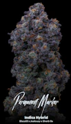 Permanent Marker 3.5 Gram Jar By Alt Sol