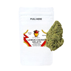 POT & HEAD - Pot & Head | Lemon Cherry Gelato | 28g