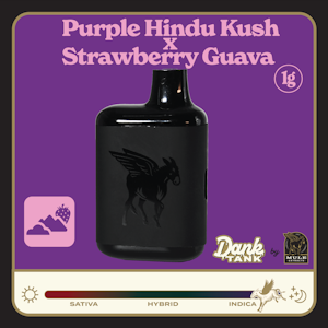 MULE EXTRACTS - Purple Hindu Kush x Strawberry Guava, Live Resin, Disposable, 1g