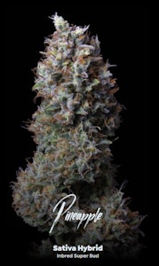 ALTERNATIVE SOLUTIONS - Pineapple Bulk Deli Flower By Alt Sol