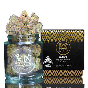 Maven Genetics | Indoor | Pineapple Biscotti | 3.5g