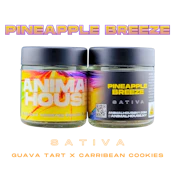 Pineapple Breeze | Flower | 3.5g