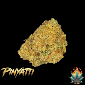 Native Fire *OZ*- Pinyatti