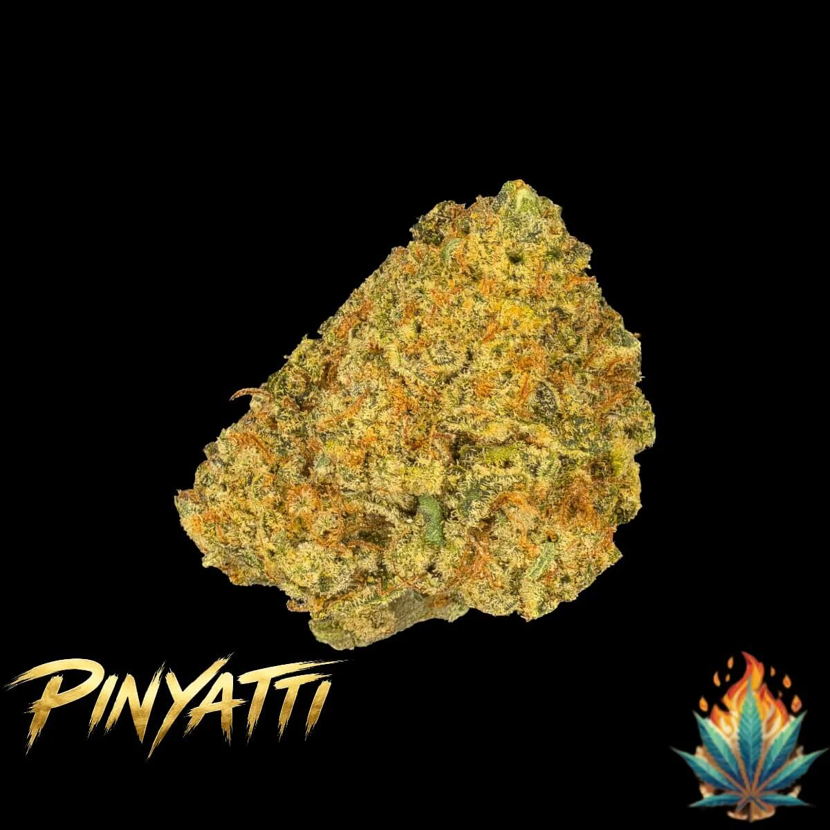 Native Fire - Native Fire *OZ*- Pinyatti Main Image