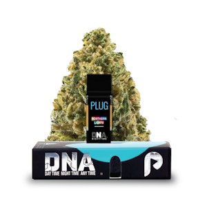 PLUGPLAY - Plug Play | Northern Lights | Pod | [1g] | Indica