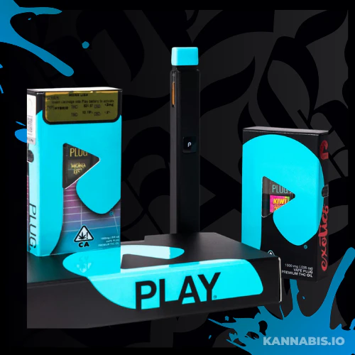 PLUGPLAY™ - PLUGPLAY - PLAY Battery - Standard Black Main Image
