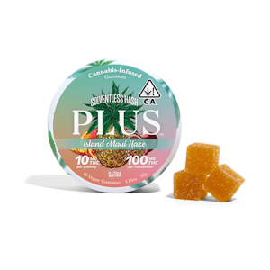 PLUS - PLUS | ISLAND MAUI HAZE - 10PK | EDIBLE | 100MG