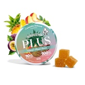 Plus - Island Maui Haze S - Gummies - 10pk - 100mg